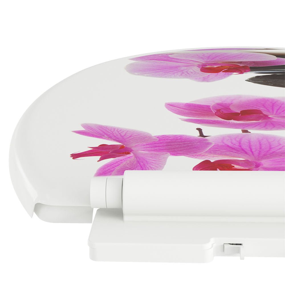 Malaga_Storczyk_różowy_zawiasa_AC